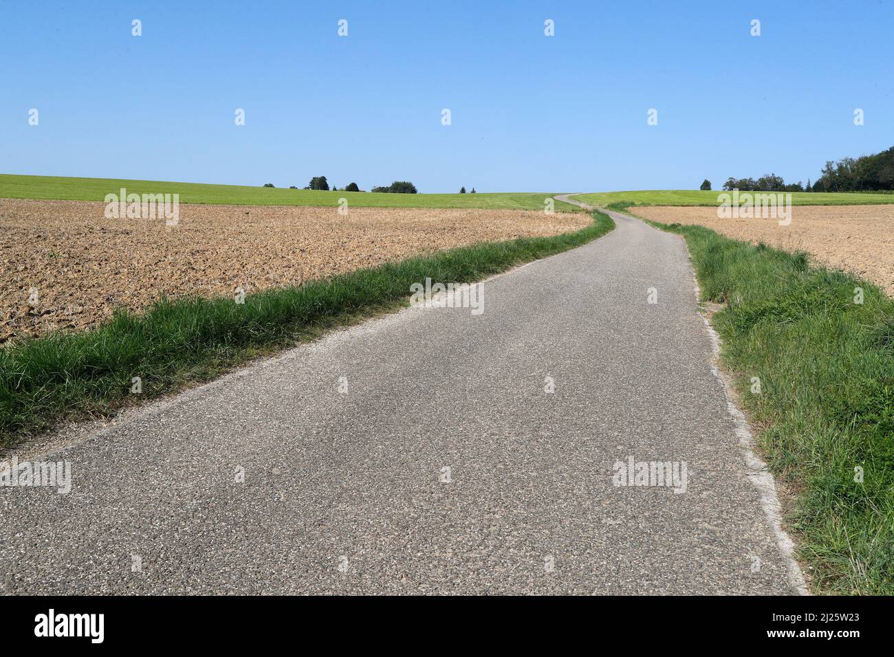 Eine schmale Straße im Grünen. Feld und Landwirtschaft. Stockfoto