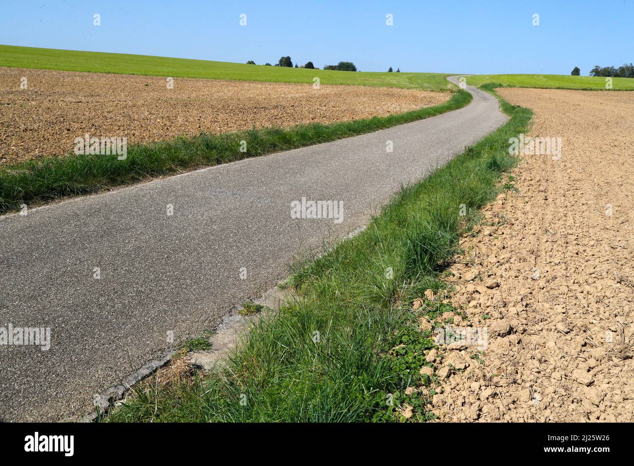 Eine schmale Straße im Grünen. Feld und Landwirtschaft. Stockfoto