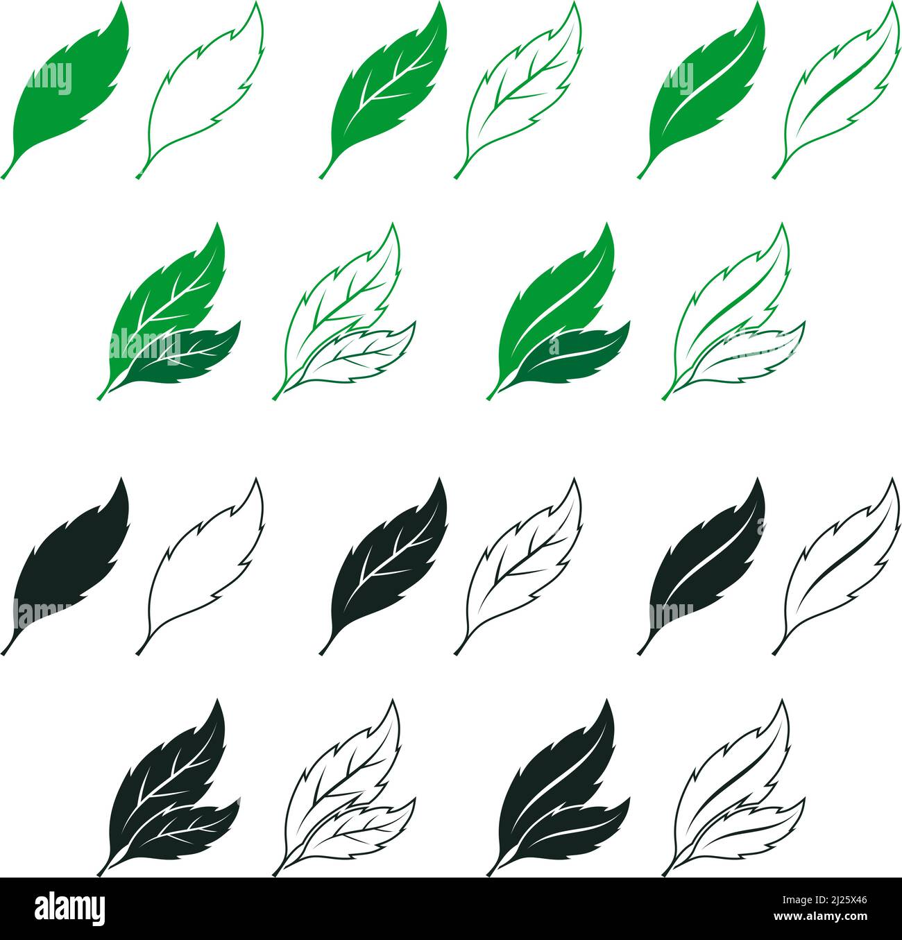 Blatt Clipart Fotos Und Bildmaterial In Hoher Aufl sung Alamy blatt-clipart-fotos-und-bildmaterial-in-hoher-aufl-sung-alamy