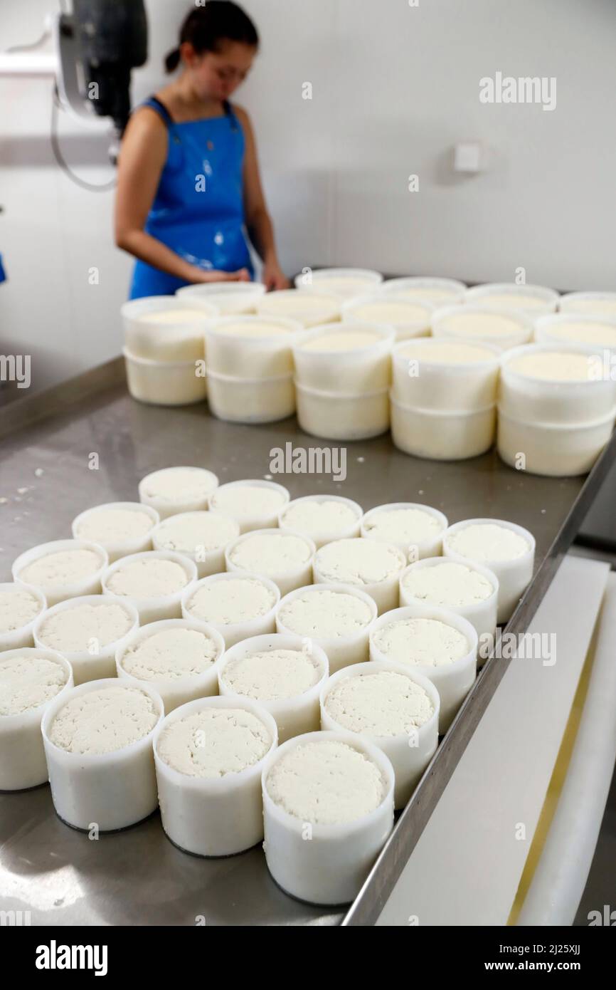 Tomme de Savoy Käseherstellung auf einer Bergfarm. Französische Alpen. Stockfoto