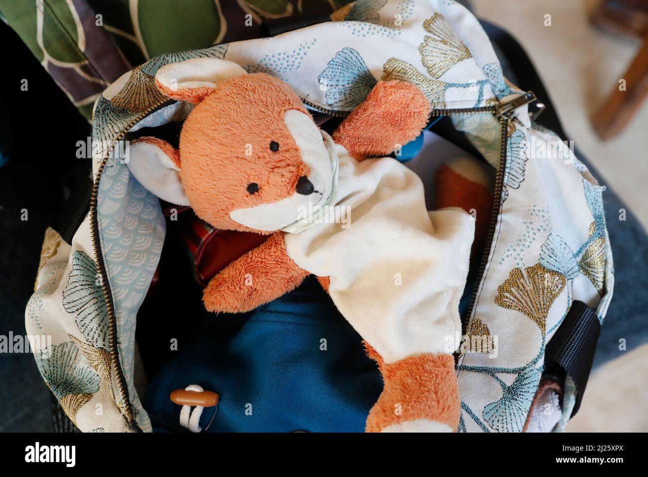 Teddybär in einer Tasche. Stockfoto