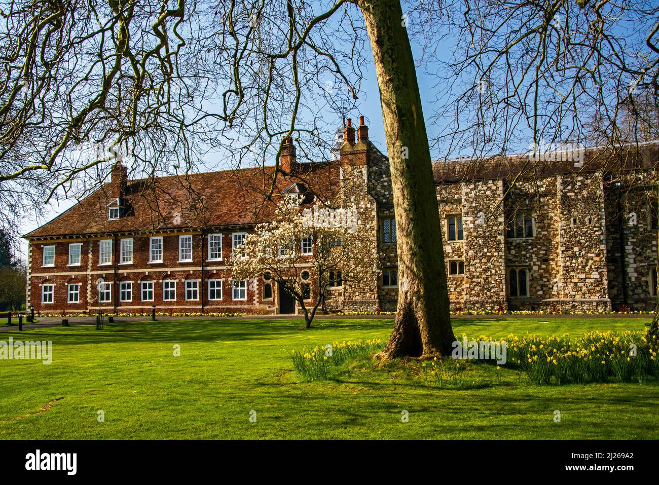 Hall Place Bexley im frühen Frühling. Stockfoto