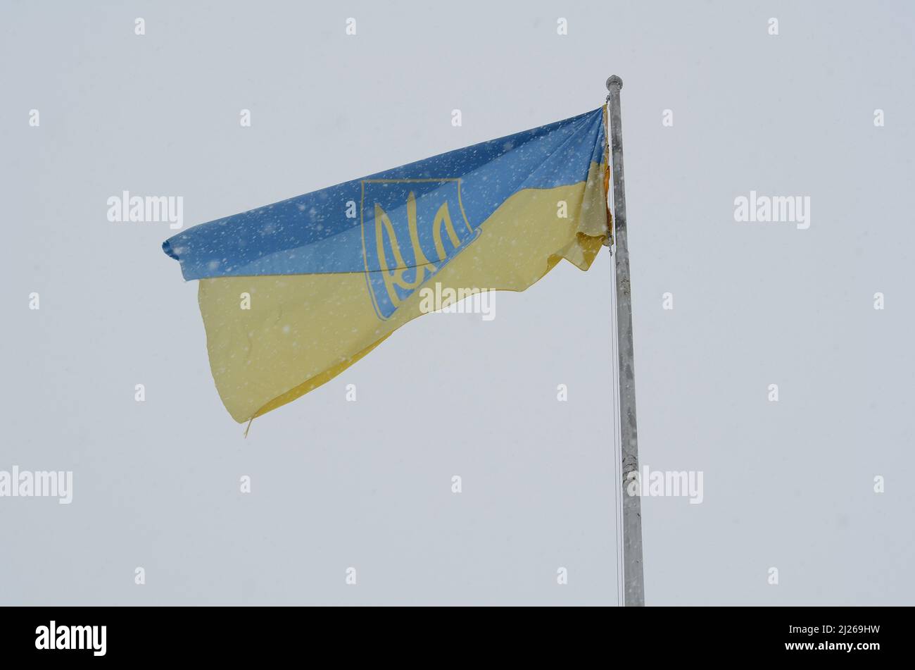 Nationale gelb-blaue Flagge der Ukraine Stockfoto