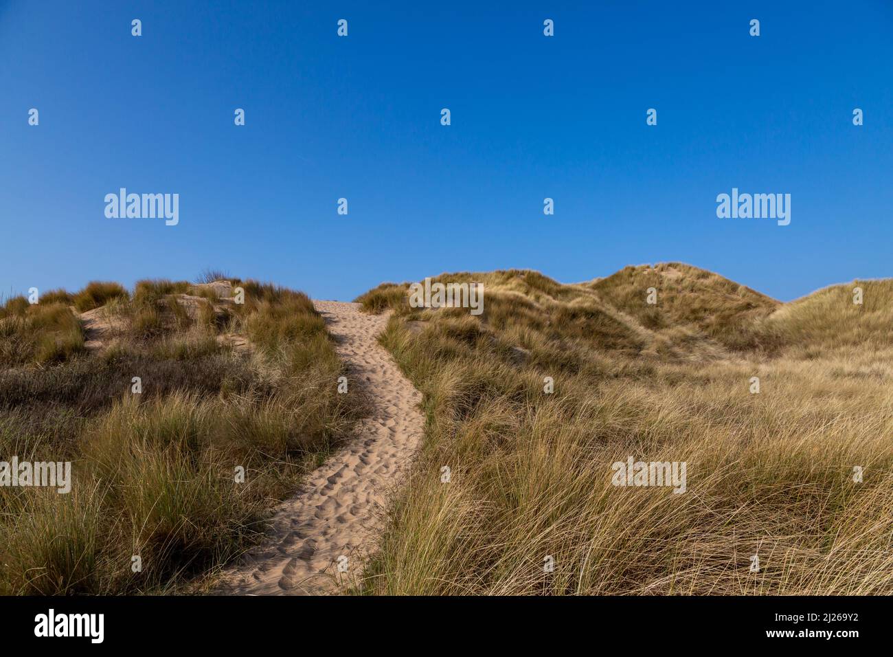 Ein Pfad über mit Maramgras bedeckte Sanddünen, bei Formby in Merseyside Stockfoto