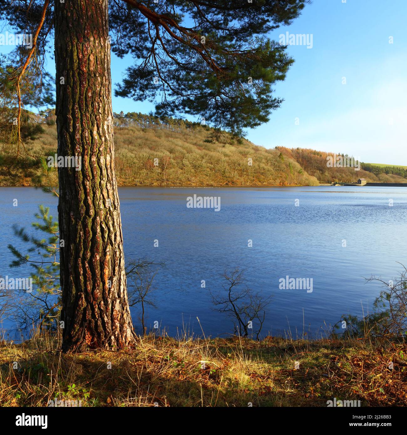 Tunstall Reservoir an einem ruhigen Wintertag, Weardale, County Durham, England, Großbritannien. Stockfoto