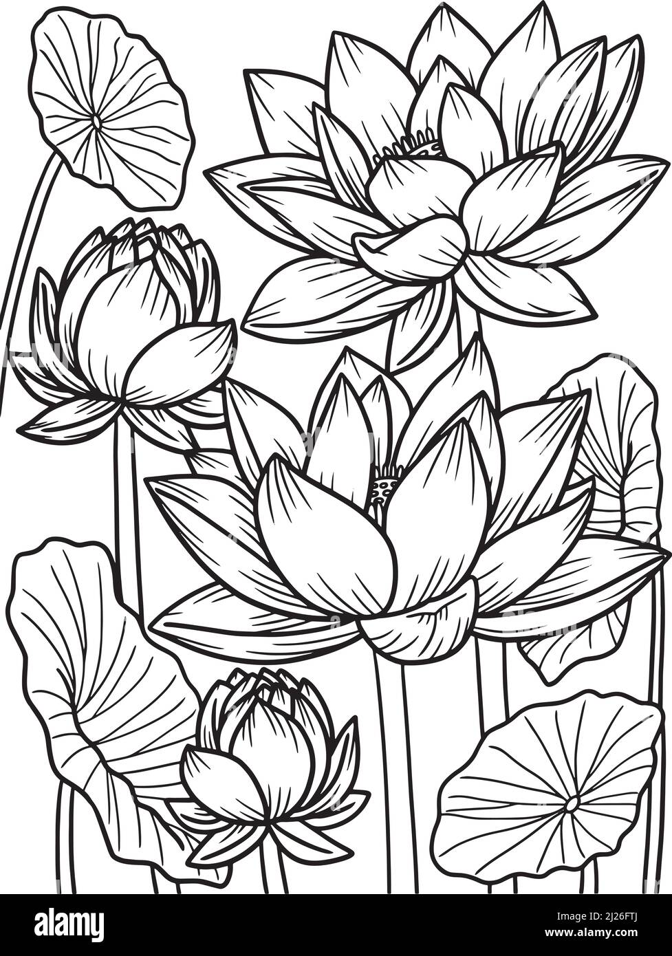 Adult Flower Coloring Seite zum Zeichnen. Blumendruck Blumenzweig ...