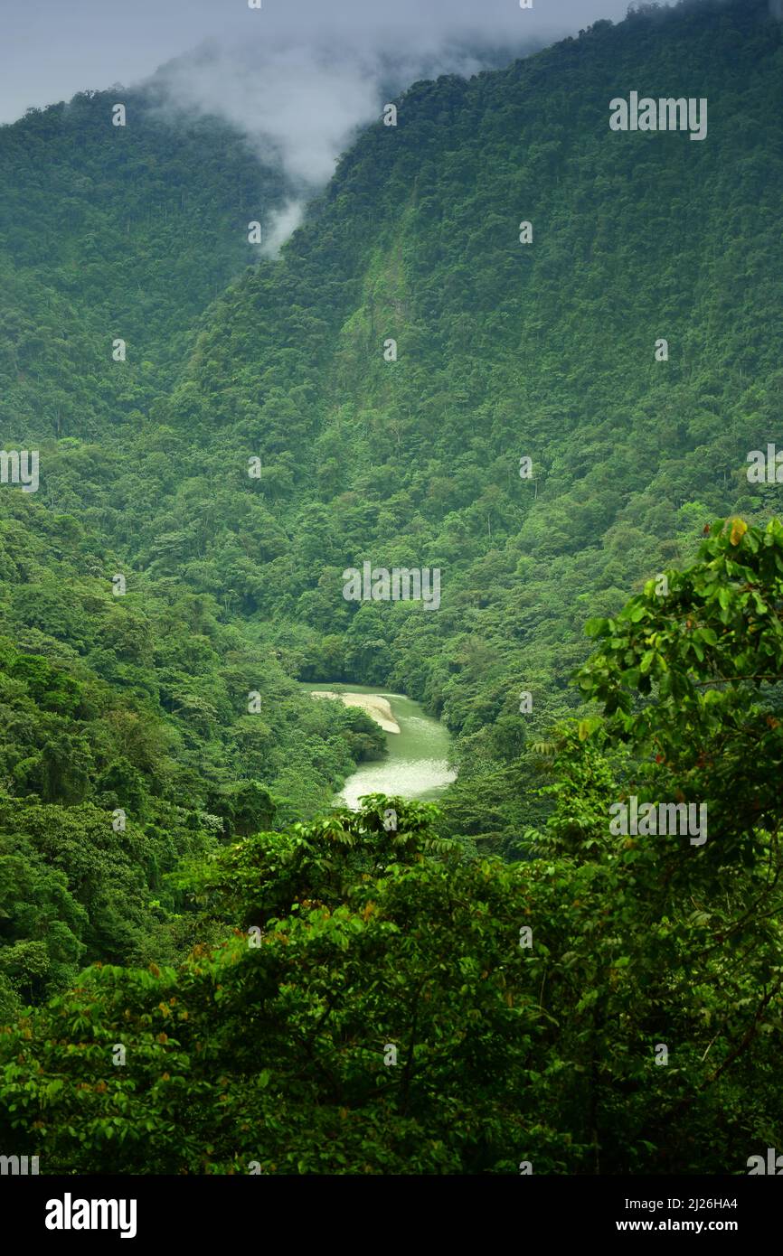 Blick auf den Anchicaya River im Pacific Region Rainforest. Valle del Cauca, Kolumbien Stockfoto