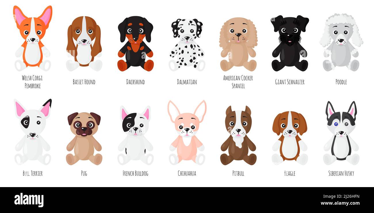 Vector Cartoon Satz von sitzenden Hunden verschiedener Rassen. Amerikanischer Cockerspaniel, Riesenschnauzer, Pudel, Bullterrier, Pug, Französische Bulldogge, Chihuahua Stock Vektor