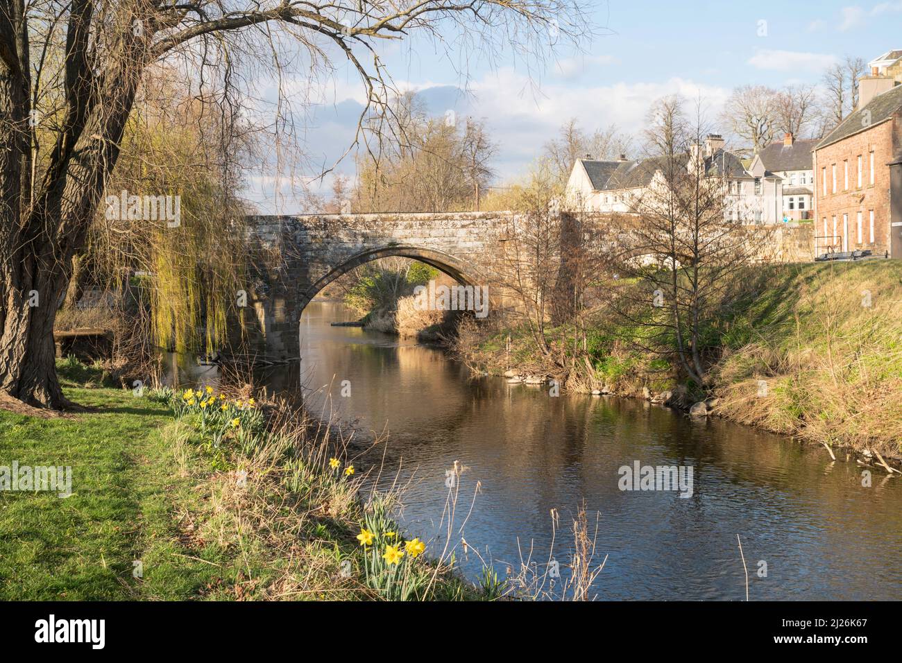 Frühjahrsansicht der Canongate Bridge aus dem 16.. Jahrhundert über Jed Water, Jedburgh, Scottish Borders, Schottland, Großbritannien Stockfoto