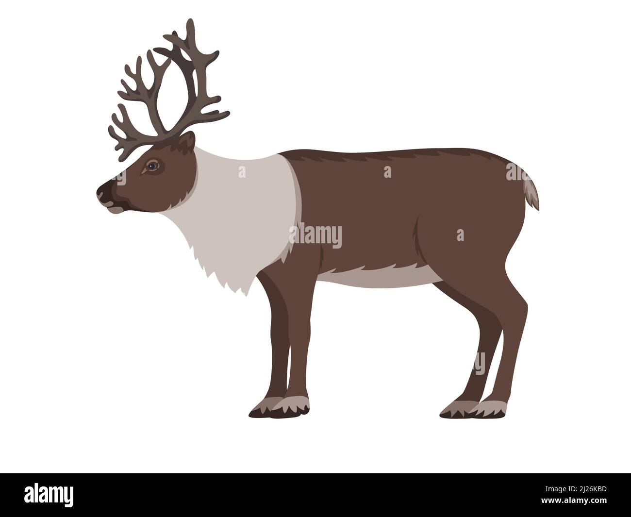 Rentier mit Geweih. Vektor-Illustration Tundra Tier Rentier isoliert auf weißem Hintergrund. Seitenansicht, Profil. Stock Vektor