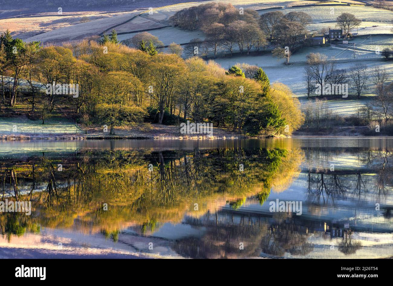 Ashes Farm an der ersten Ampel Stockfoto
