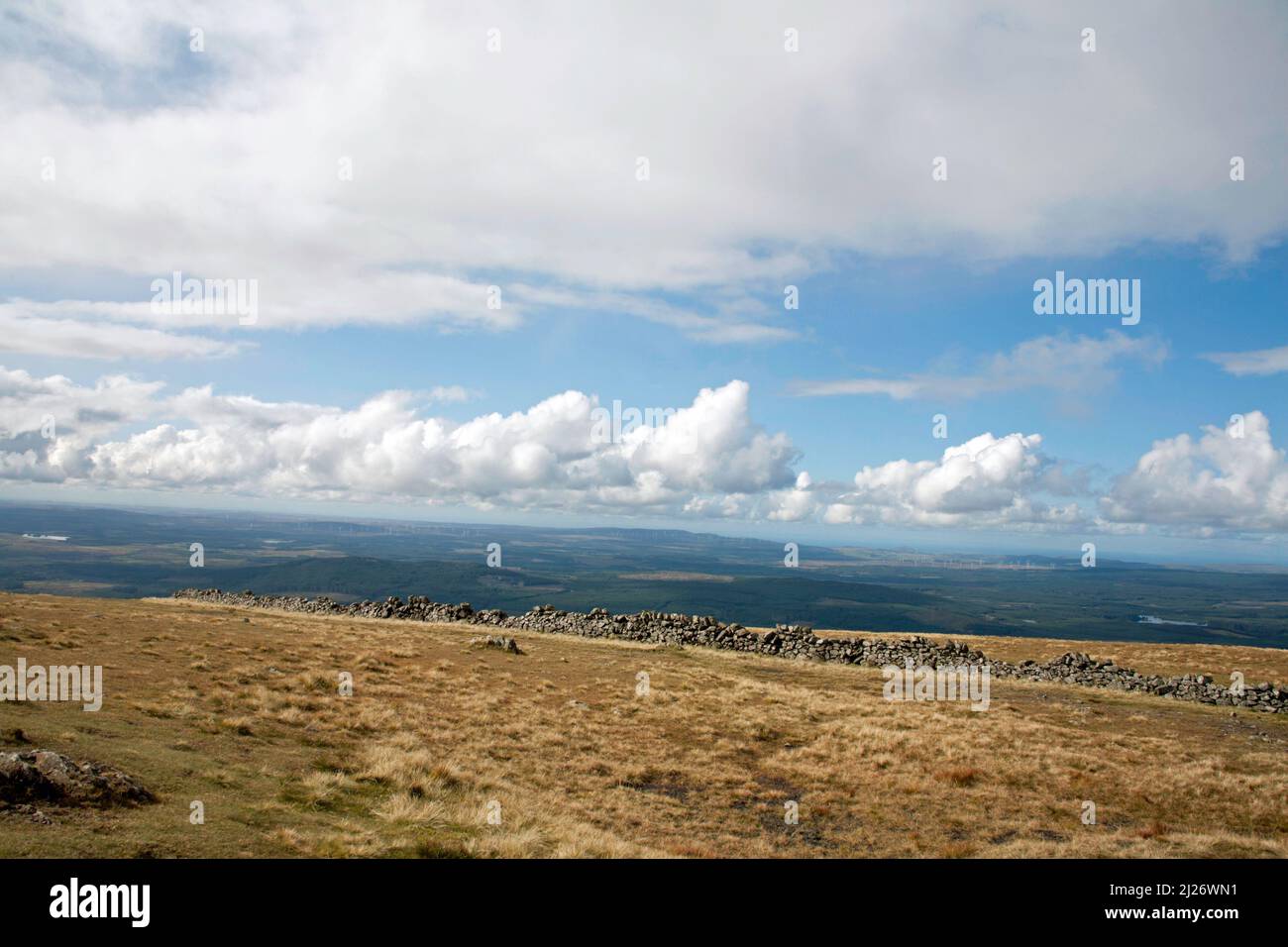 Die Hänge und Gipfel von Benyellary auf dem Weg zum Gipfel von Merrick Dumfries und Galloway Scotland Stockfoto