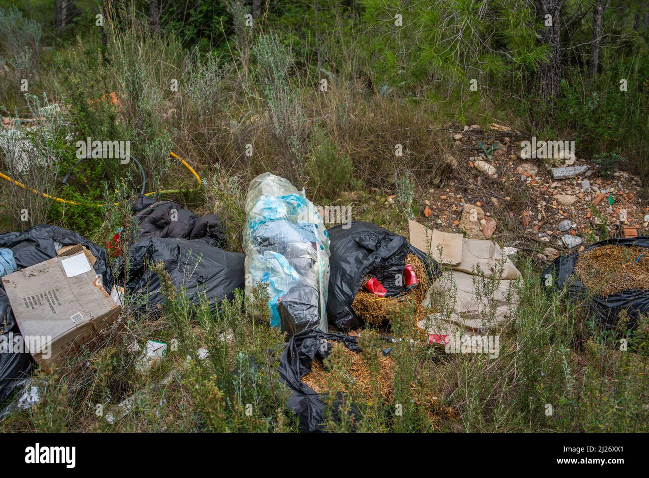 Müll liegt im Wald an einer Landstraße in Tarragona, Costa Dorada, Katalonien, Spanien Stockfoto