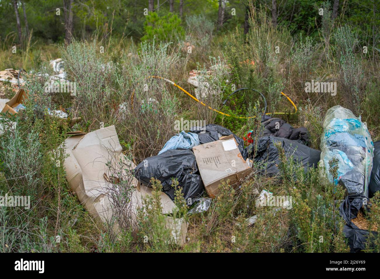 Müll liegt im Wald an einer Landstraße in Tarragona, Costa Dorada, Katalonien, Spanien Stockfoto