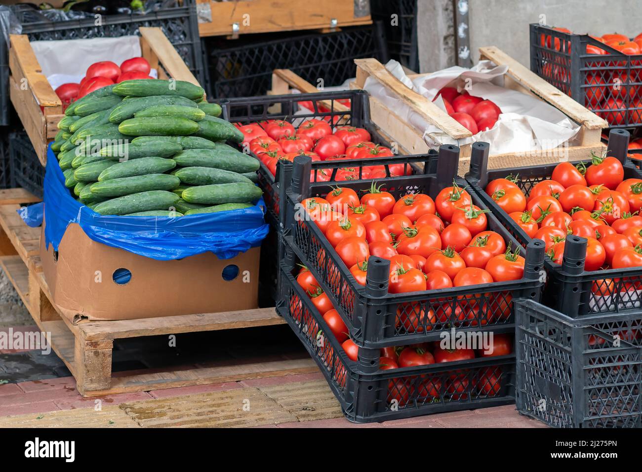 Schachteln mit Gurken und Tomaten verschiedener Sorten auf dem Gemüsemarkt Stockfoto