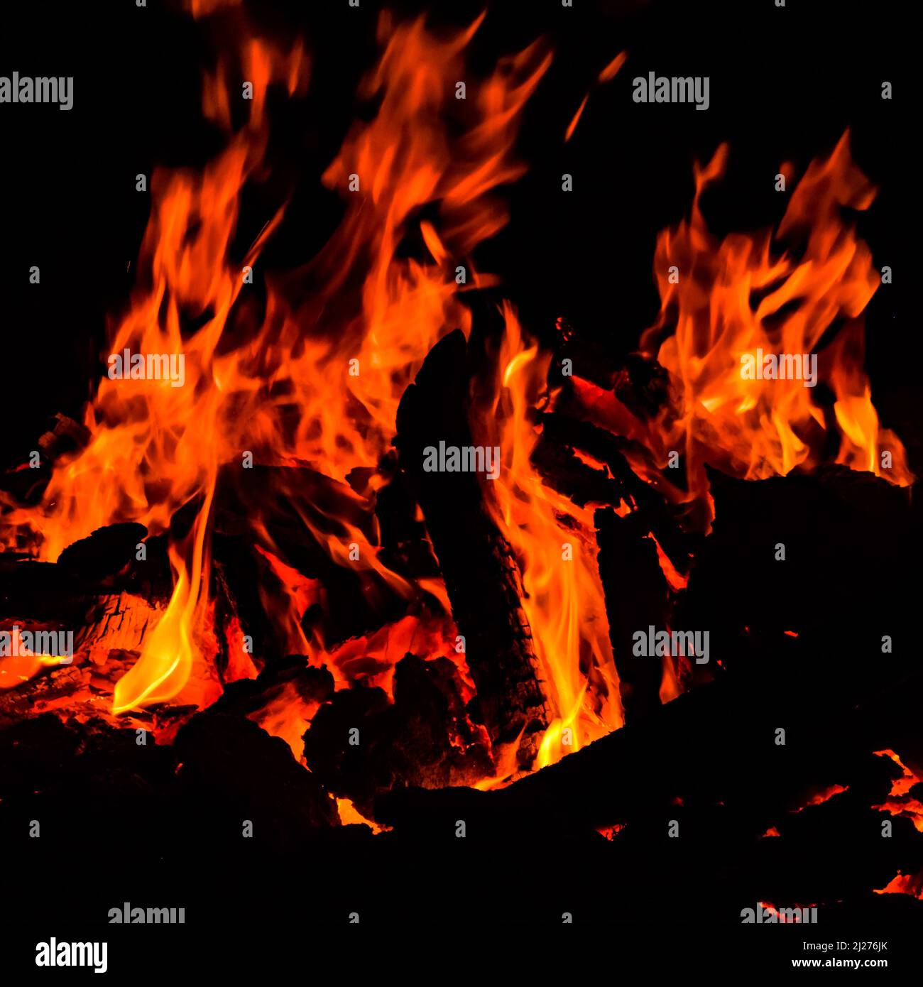 Feuer Flammen auf schwarzem Hintergrund, Feuer Feuer Flamme Textur Hintergrund, schön, das Feuer brennt, Feuer Flammen mit Holz und Kuh Vakuum Stockfoto