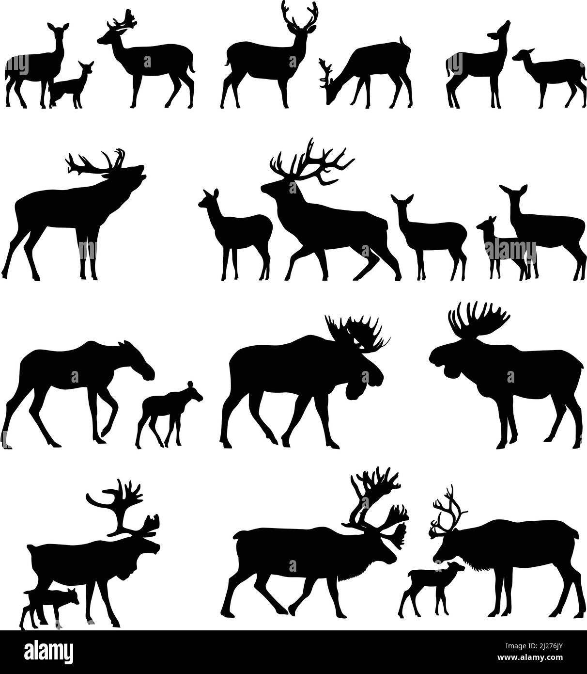 Sammlung von Silhouetten von Wildtieren der Familie der Hirsche Stock Vektor
