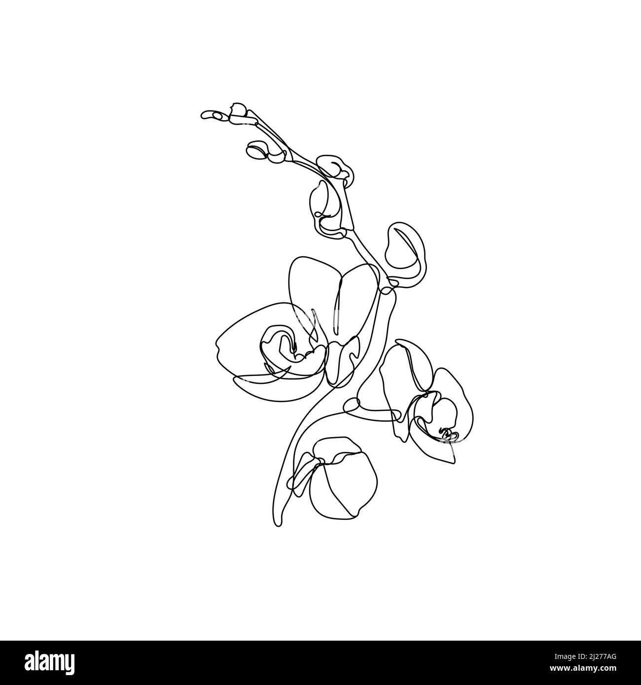 Eine einzelne Linie Zeichnung der Orchideenblume Stock Vektor