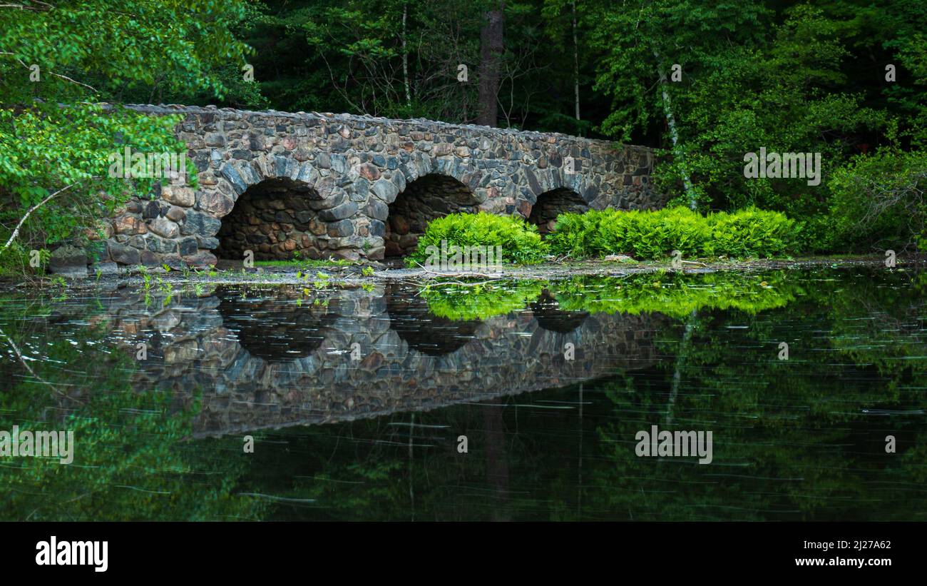 Steinbrücke mit Reflexion auf dem Wasser in der Mitte eines Waldes in den frühen Morgenstunden ohne niemanden. Ruhig und entspannt, Schönheit, Wald im Sommer, Parc Stockfoto