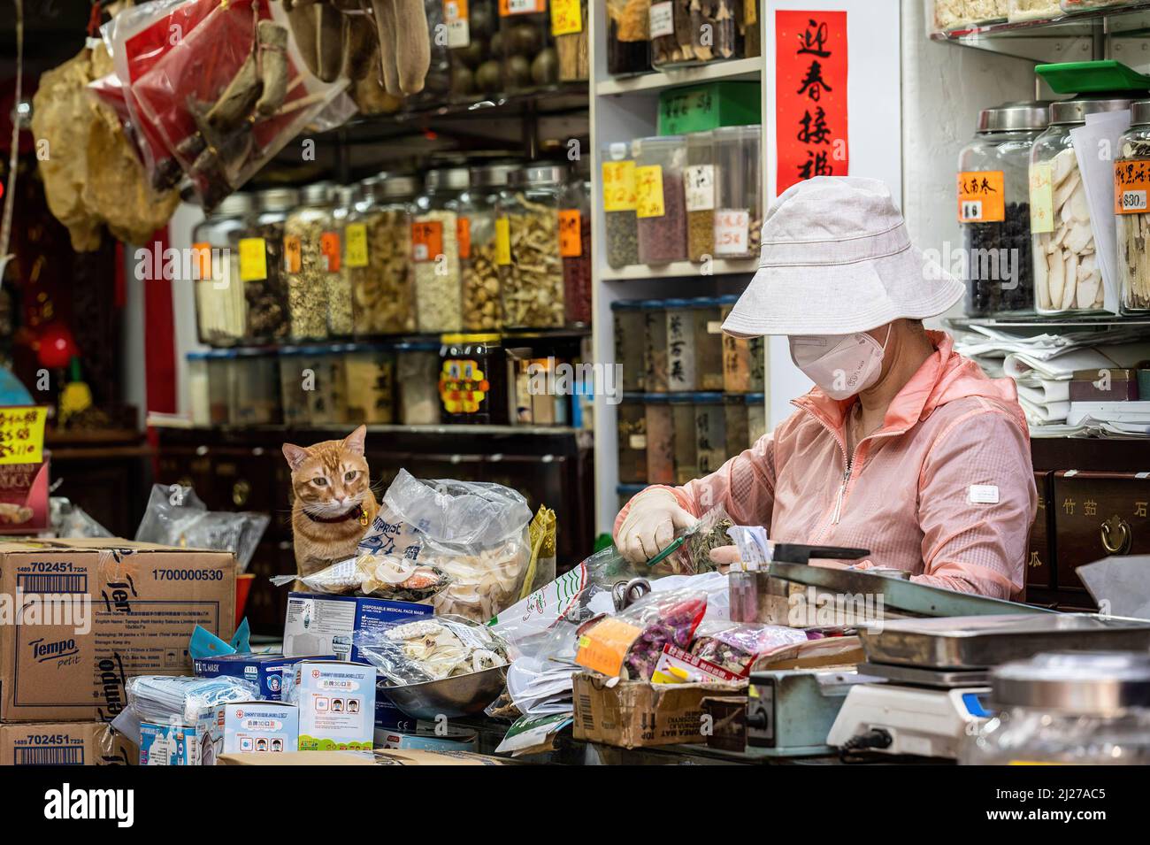 Eine Arbeiterin und ihre katzenartige Begleitung in einem Geschäft für traditionelle chinesische Medizin (TCM). Die Regierung Hongkongs hat sich aktiv für die Verwendung traditioneller chinesischer Medizin zur Behandlung von COVID-19 eingesetzt. Experten sind jedoch besorgt, dass es nicht genügend Beweise aus kontrollierten, von Experten überprüften Studien über die Wirksamkeit dieser Behandlungen für das neuartige Coronavirus gibt. Stockfoto