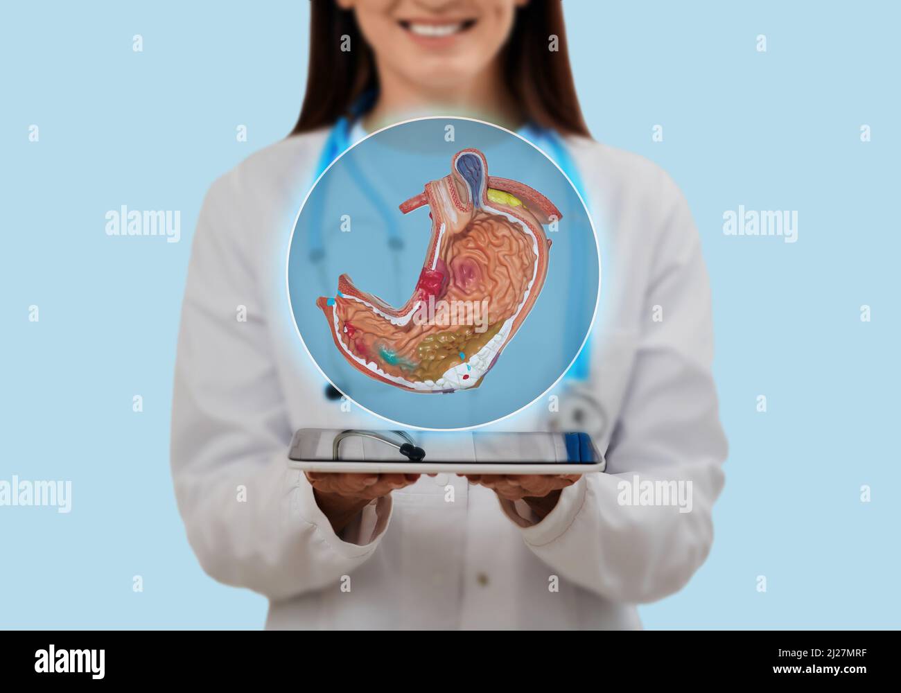 Arzt mit virtuellem anatomischem Modell des Magens, das das Magengesundheitskonzept im Gesundheitswesen zeigt. Diagnostik und Therapie der Magenkrankheit Stockfoto