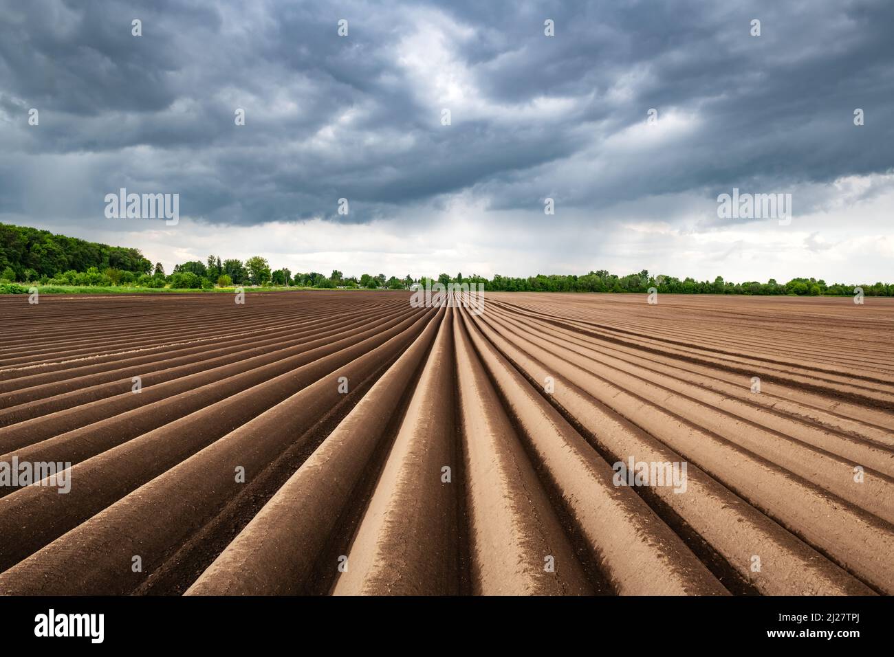 Landwirtschaftliche Feld mit geraden Reihen im Frühjahr. Kartoffeln anbauen. Regnerische dunkle Wolken im Hintergrund. Ukraine Landwirtschaft Stockfoto