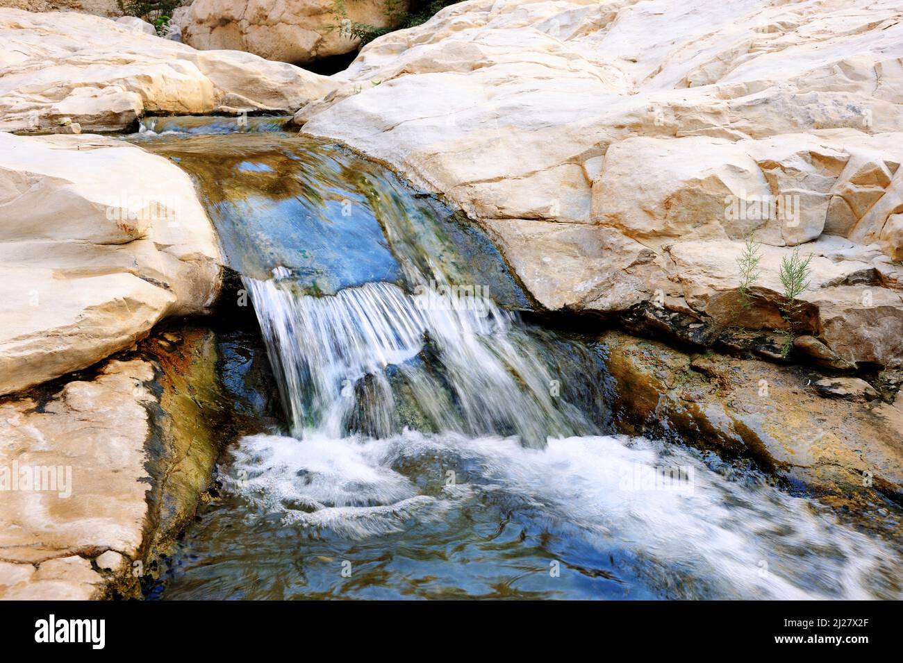 Bächen und Wasserfällen Nature Reserve Ein Gedi am Toten Meer in Israel Stockfoto