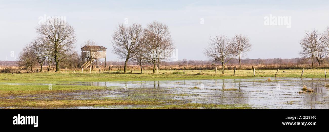 Ein Panoramablick auf Moor mit Wasser und Bäumen in Recker Moor in Recke, Deutschland Stockfoto