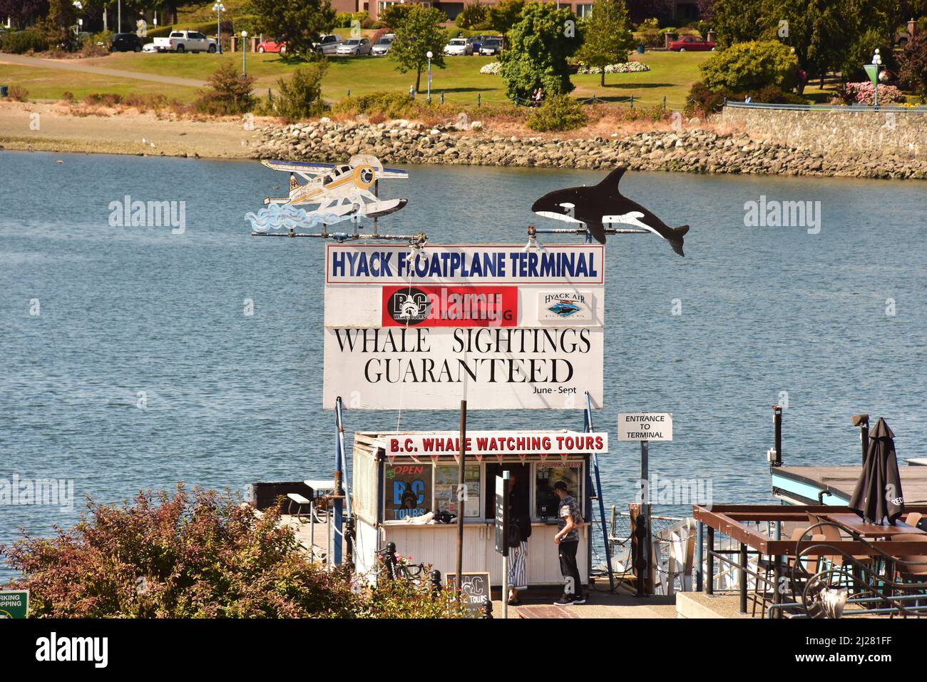 Bootsfahrt Mit Walbeobachtung, Victoria, Vancouver Island, Kanada Stockfoto
