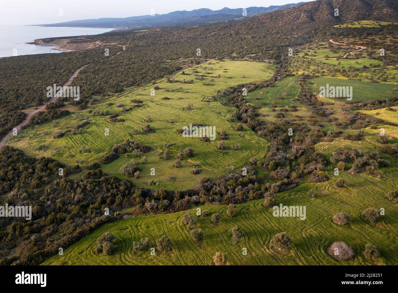 Luftaufnahme von Kulturland auf der Halbinsel Akamas, Republik Zypern Stockfoto
