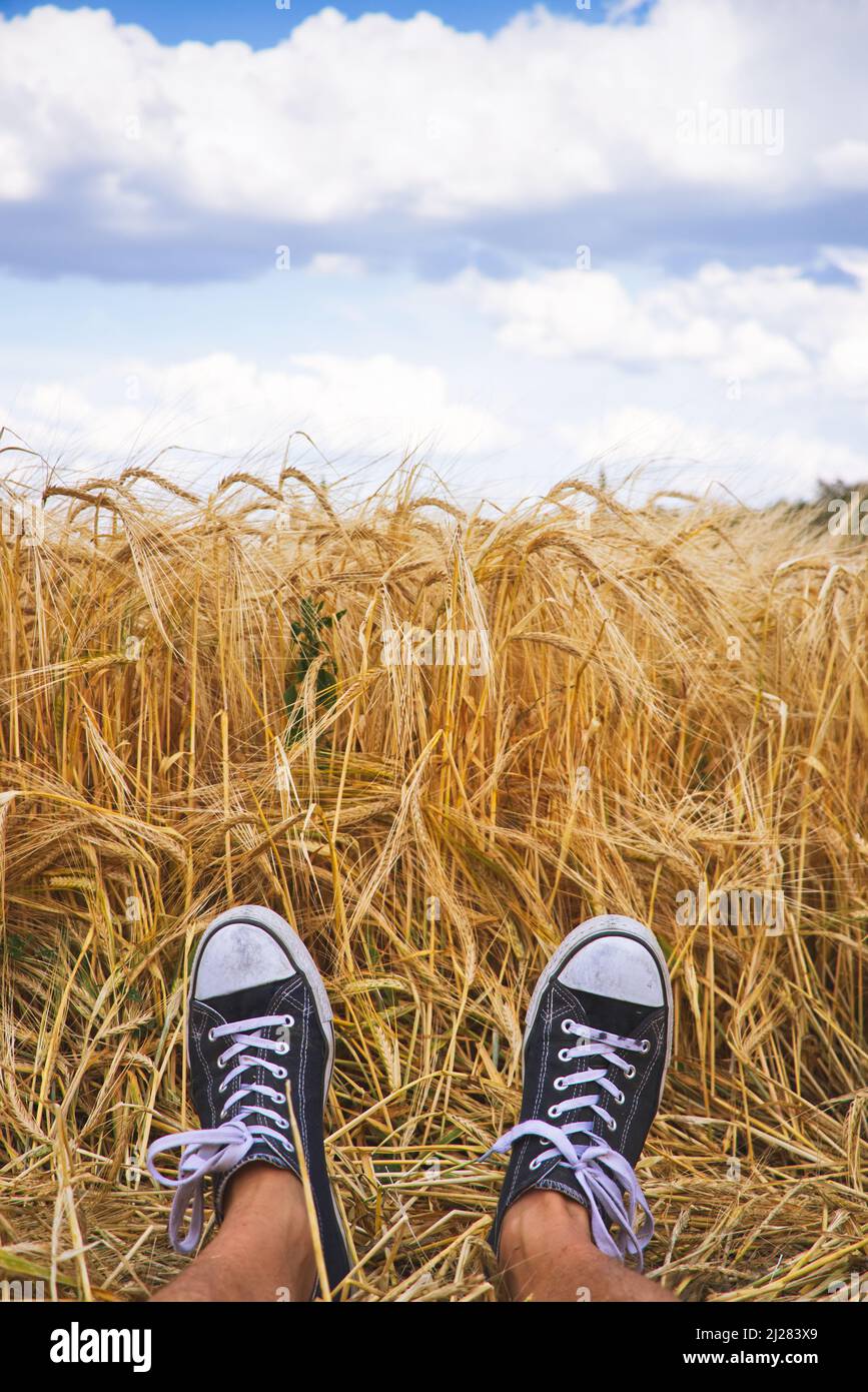 Froher Sommer. Mann in schwarz-weißen Turnschuhen und lag im goldenen Gerstenfeld. Mann mit Leinenschuhen entspannen in der Natur. Stockfoto