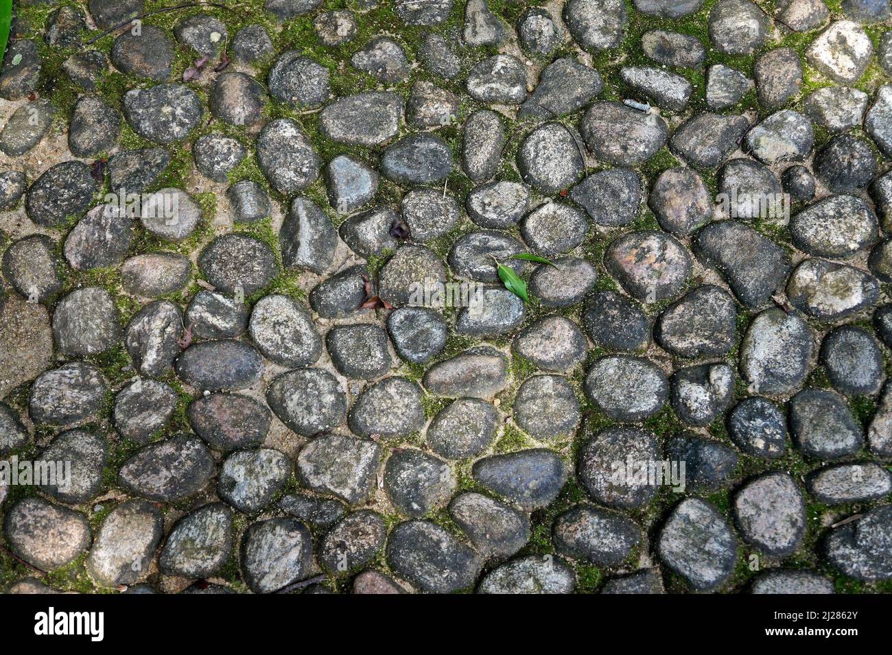 Strukturierter garten Fotos und Bildmaterial in hoher Auflösung Alamy