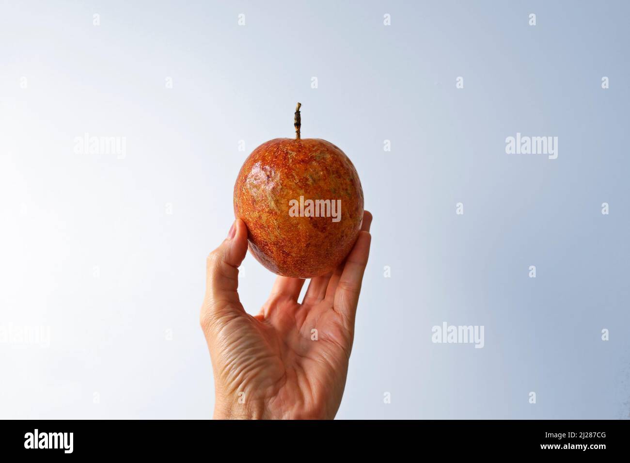 Rote Passionsfrucht auf einem hellen Hintergrund Stockfoto