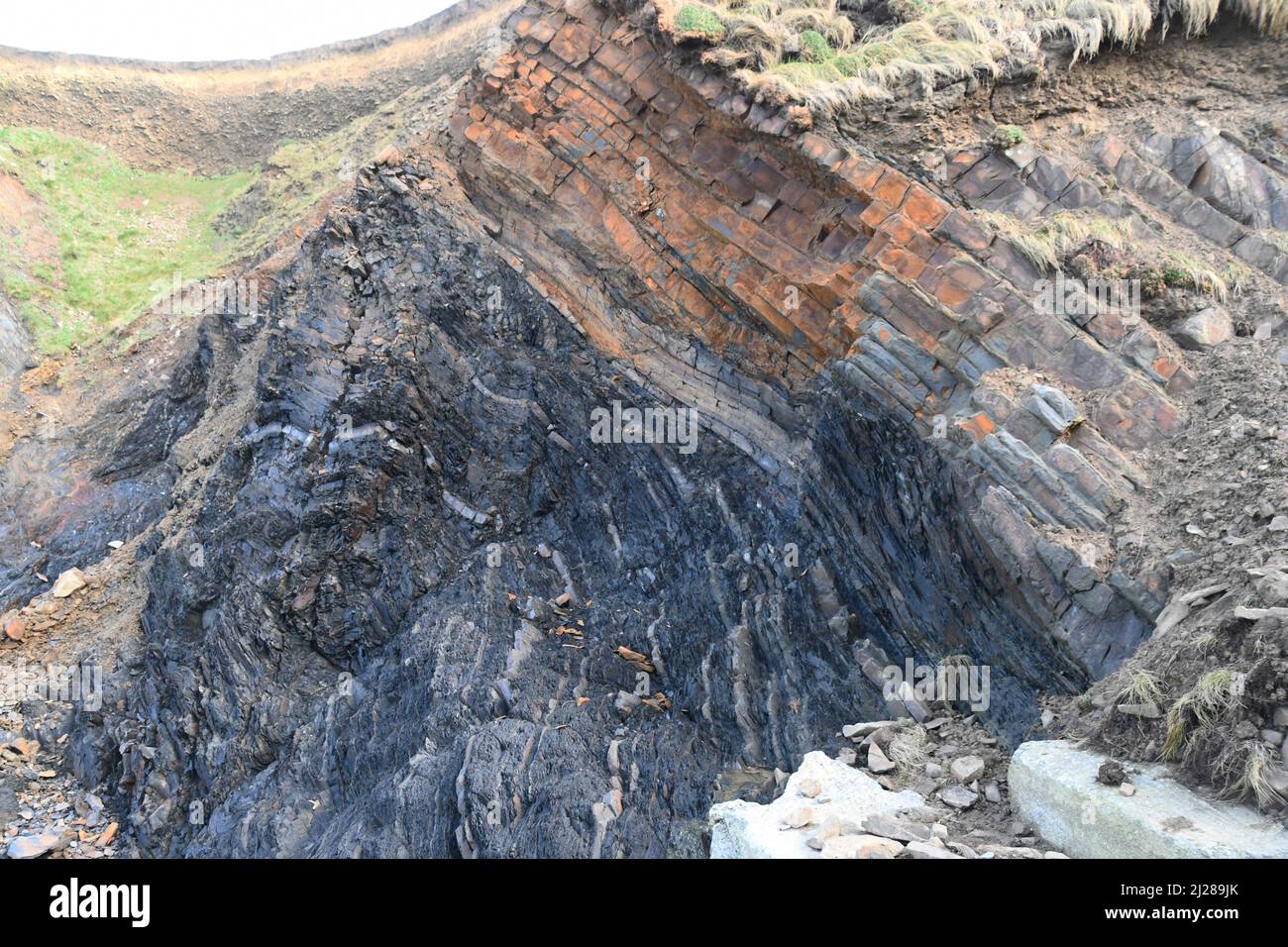Sandymouth Bay mit zerklüfteten, verzerrten Schichten aus Sandstein und dunklen Schieferbetten, die eine Synkline definieren. An der Atlantikküste von Nord-Cornwall. England. Stockfoto