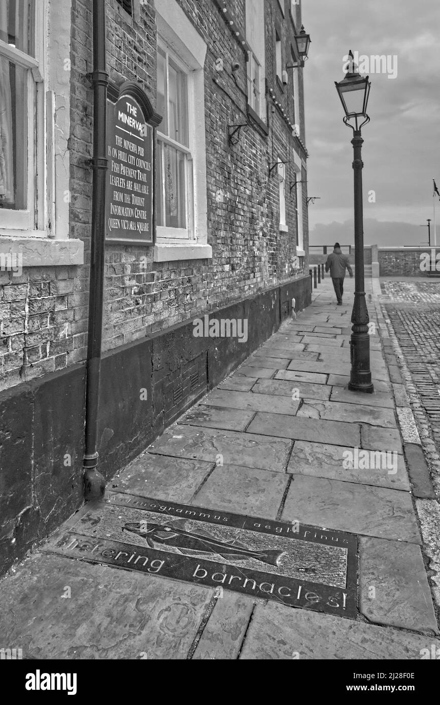 Bilder von Hull und seiner Architektur in East Riding, Yorkshire, England Stockfoto