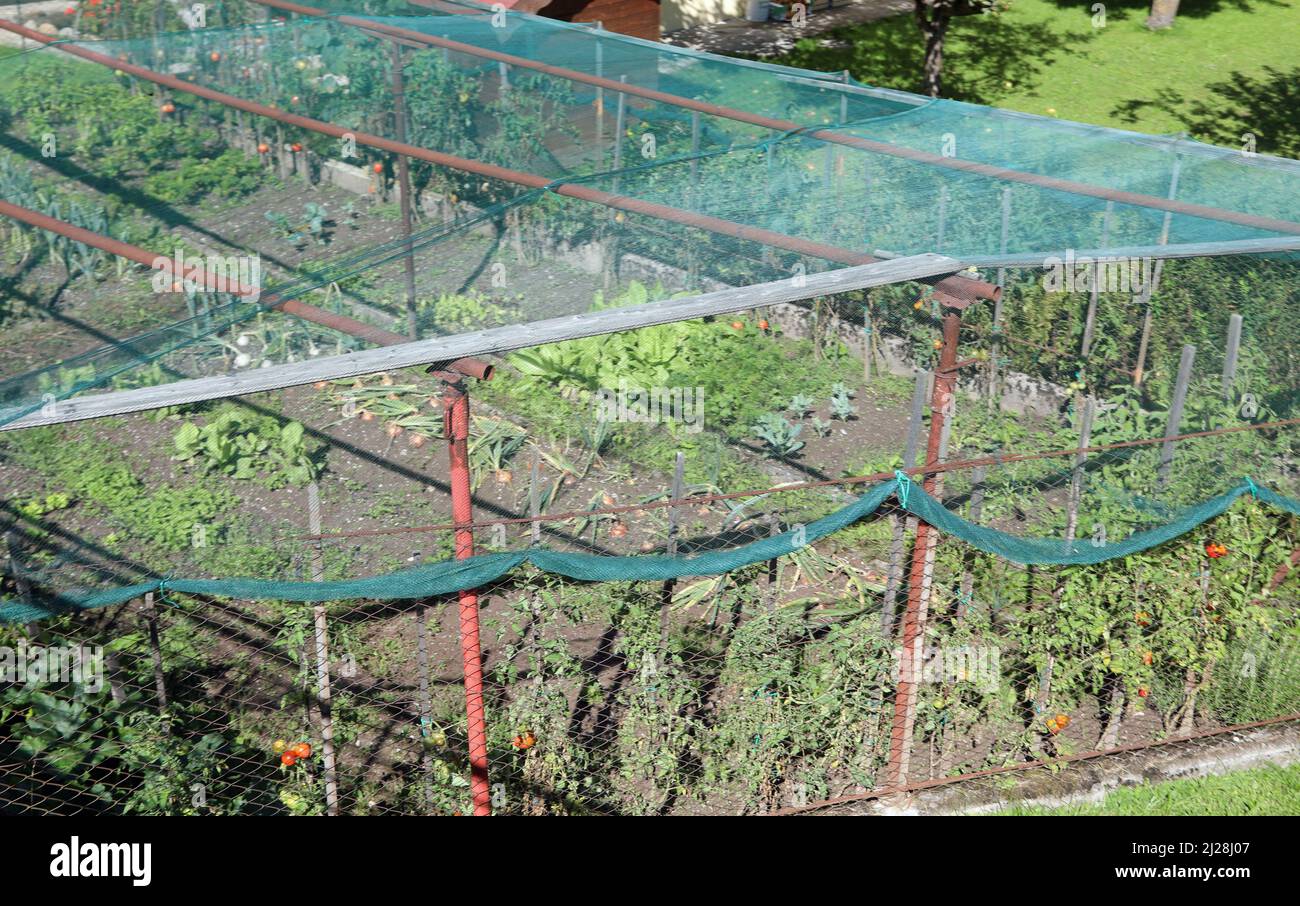 Hagelschutz gemüsegarten Fotos und Bildmaterial in hoher Auflösung