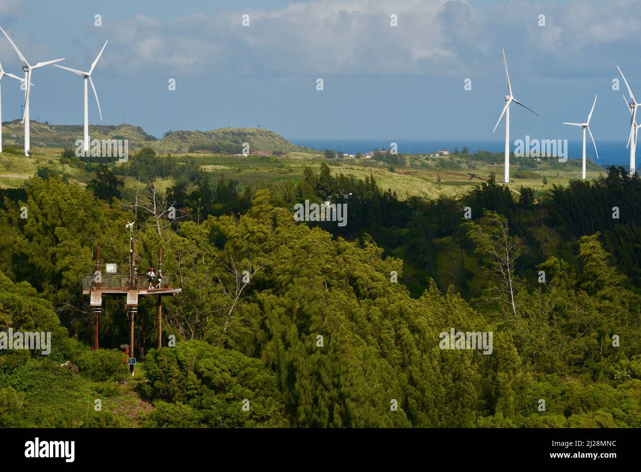 Tourteilnehmer, die von einer erhöhten Holzplattform aus über die Zipline gleiten, Windturbinen in der Ferne, Climbworks Keana Farms, North Shore, Kahuku, HI, USA Stockfoto