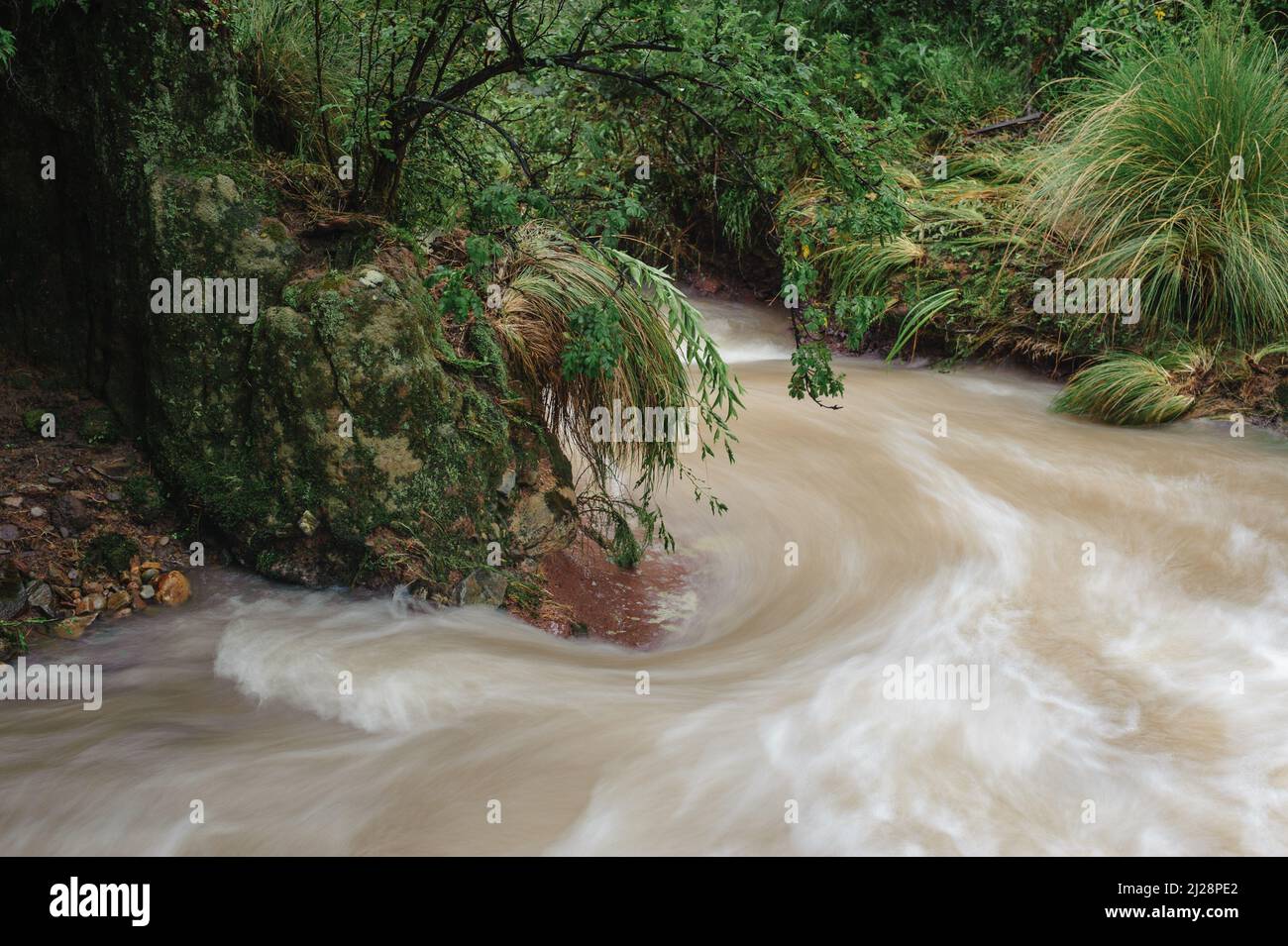 Ein Gebirgsbach in Südafrikas Drakensberg-Region Kamberg, der nach Sommerregen überflutet wurde Stockfoto