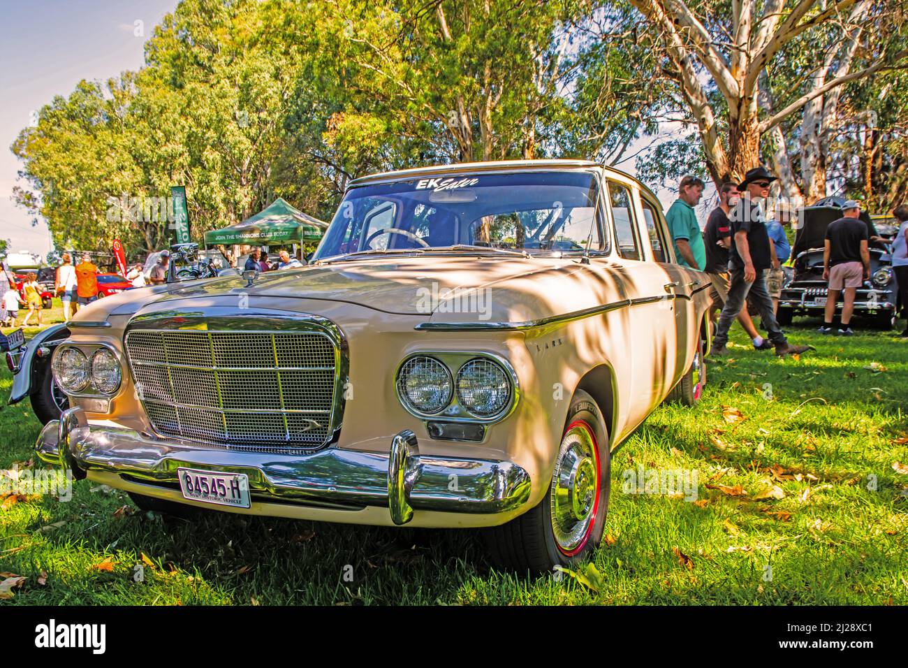 1962 Studebaker Lark V8 Sedan auf der Ausstellung in Tamworth Australia. Stockfoto