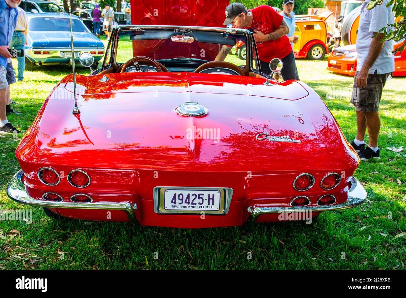 Rückseite des roten c1964-67 Corvette Sting Ray Cabriolets auf dem Display im Tamworth Australia. Stockfoto