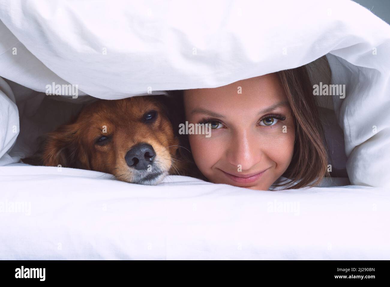 Schöne Frau, die mit ihrem hübschen Dackel-Hund unter der Decke im Bett liegt. Hund und Besitzer zusammen Stockfoto