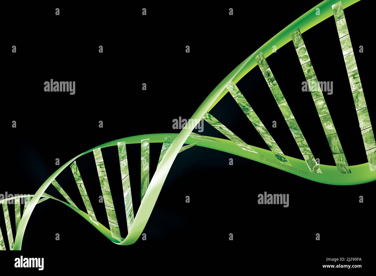 DNA-Propeller Stockfoto