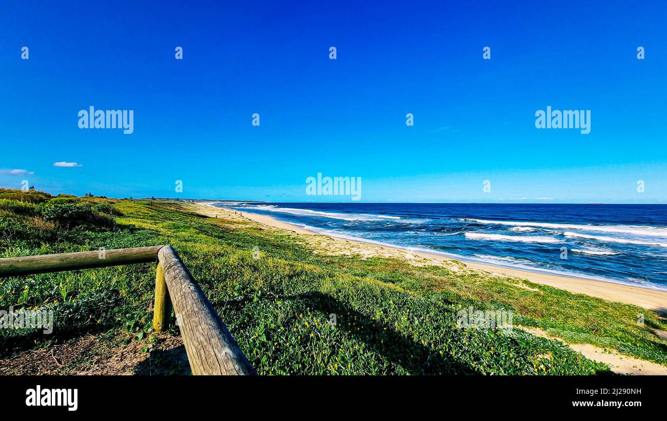 Ein Panoramablick auf eine unberührte Küste des Ozeans mit viel Grün Stockfoto