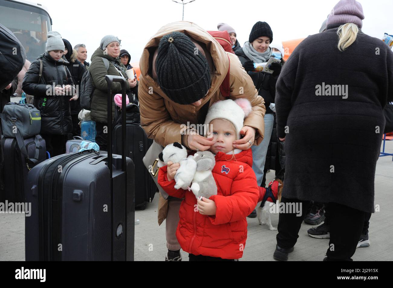 Aufnahme ukrainischer Flüchtlinge am Grenzposten isaccea - rumänien Stockfoto