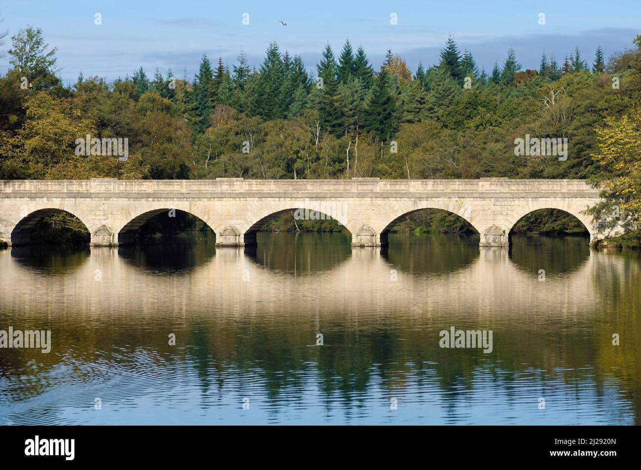 Five-Arch Bridge entworfen von Sir Jeffry Wyattville, Virginia Water Lake, Royal Landscape of Windsor Great Park, Surrey, England, Großbritannien Stockfoto