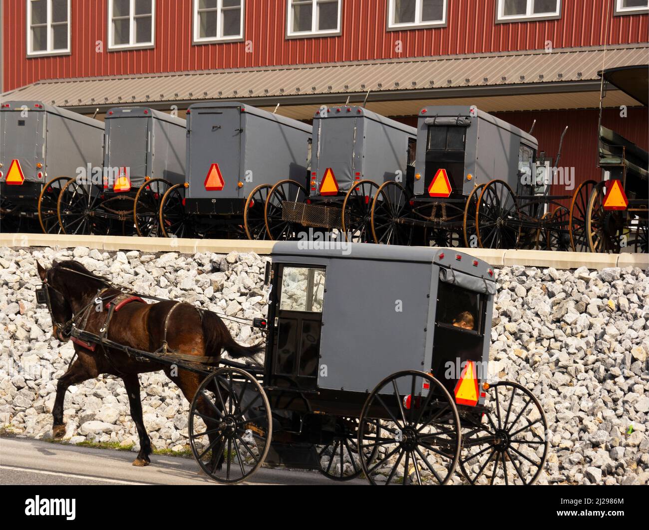 Pferdewagen mit Amischen auf der Straße in Lancaster, PA Stockfoto