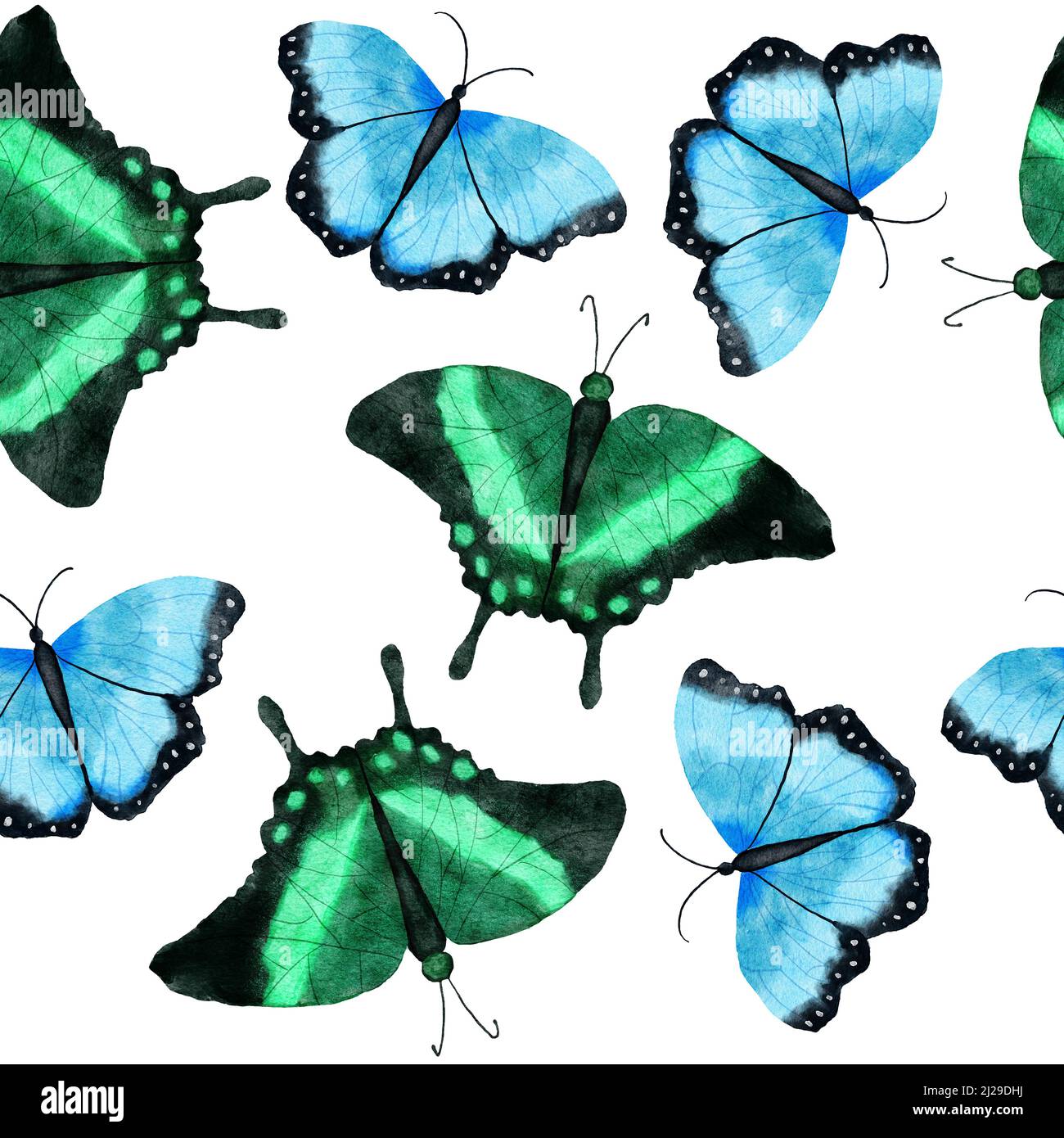 Aquarell handgezeichnetes nahtloses Muster mit Schmetterling Libelle Motten Insekten. Helle bunte blau grün orange Schmetterlinge wild Tierwelt Natur Hintergrund-Design für Textil-Tapete Stockfoto