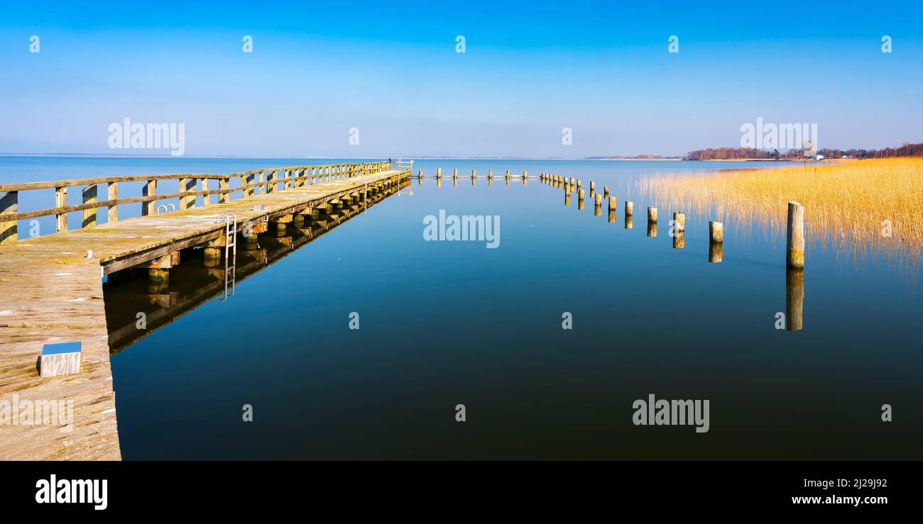 Alter Steg, Holzsteg am Bodstedt Bodden, Nationalpark Vorpommersche Boddenlandschaft, Mecklenburg-Vorpommern, Deutschland Stockfoto