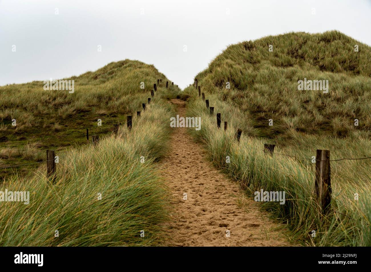 Sandweg mit Dünengras und Zaun, Sylt West Strand, List, Sylt Insel, Deutschland Stockfoto