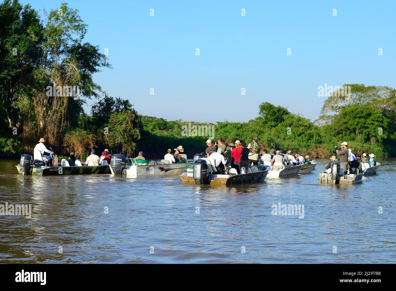 Touristen in Motorbooten beobachten Wildtiere, Pantanal, Mato Grosso, Brasilien Stockfoto